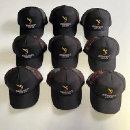 Topi